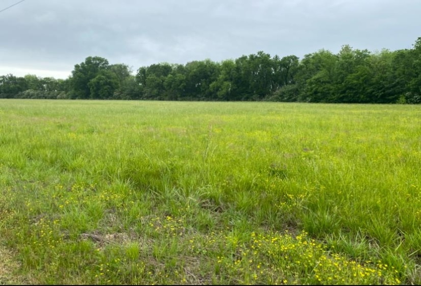 LT 138 BANDIT WAY, Savannah, Tennessee 38372, ,Land,For Sale,BANDIT,10221057