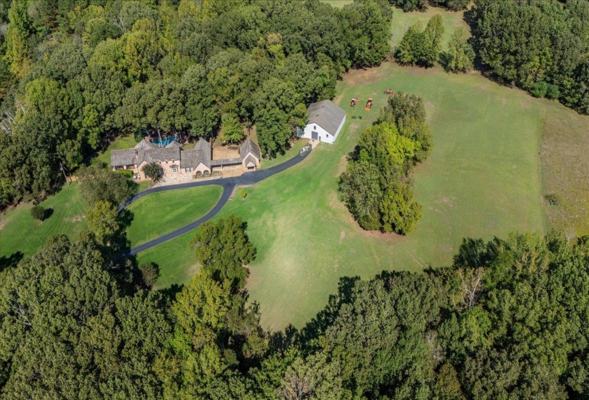 11378 MONTEREY RD, Eads, Tennessee 38028, 5 Bedrooms Bedrooms, 10 Rooms Rooms,5.1 BathroomsBathrooms,Residential,For Sale,MONTEREY,10207478