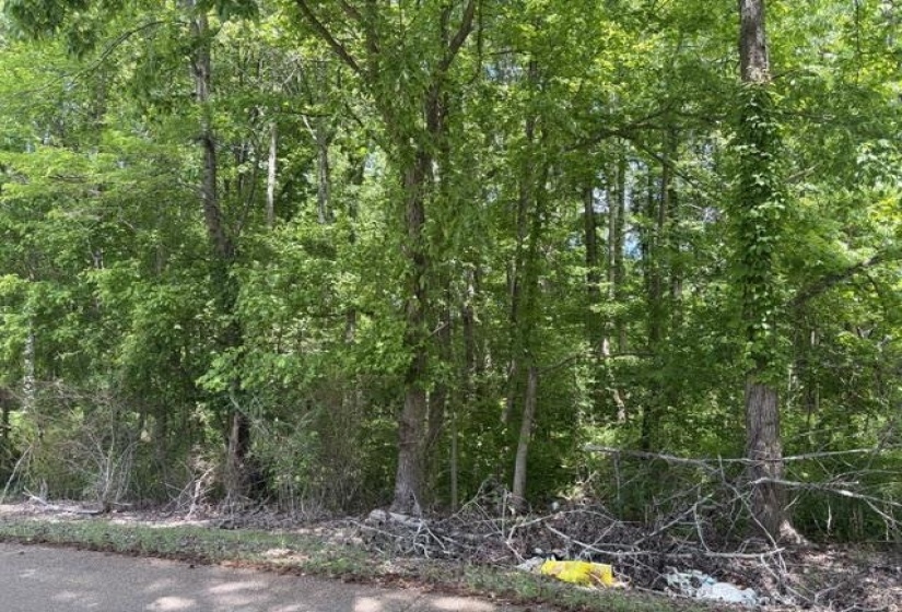 LIBERTY RD, Moscow, Tennessee 38057, 0 , 0 ,0,Land,For Sale,LIBERTY,0,10221150