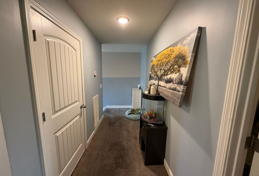 Hallway featuring light blue walls, brown carpet flooring, an interior door with a paneled design, and white baseboards