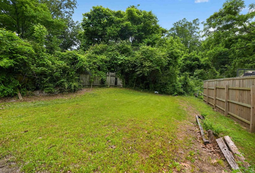 Expansive grassy yard area with mature trees providing natural screening