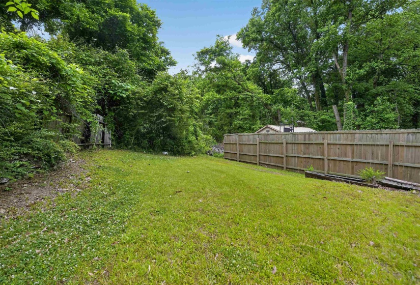 Expansive green lawn with a wood plank privacy fence and mature perimeter trees