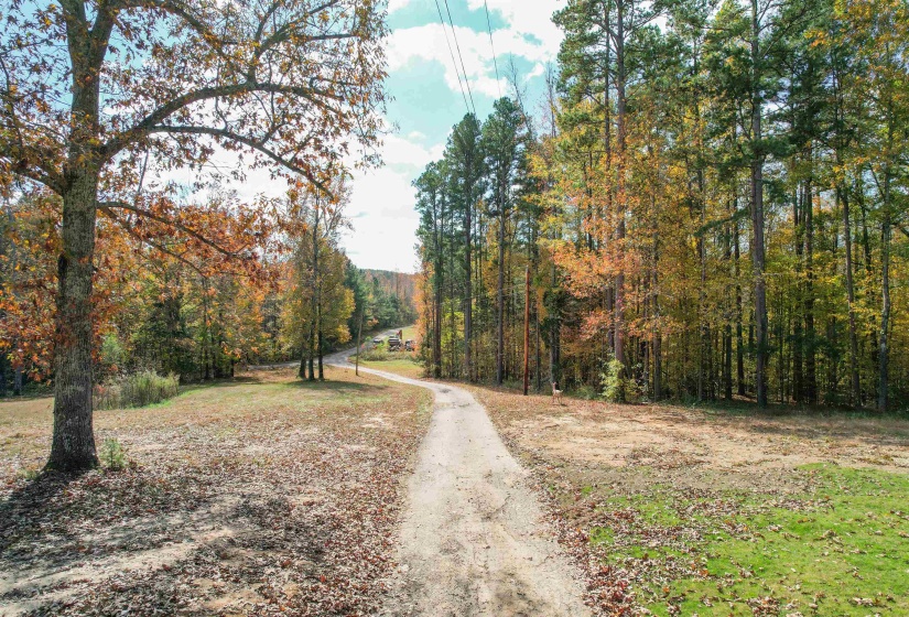 20835 HIGHWAY 64 HWY, Bolivar, Tennessee 38008-6918, 2 Bedrooms Bedrooms, 6 Rooms Rooms,1 BathroomBathrooms,Residential,For Sale,HIGHWAY 64,10221151