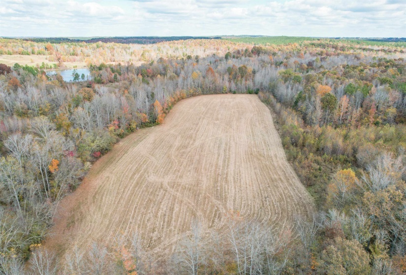20835 HIGHWAY 64 HWY, Bolivar, Tennessee 38008-6918, 2 Bedrooms Bedrooms, 6 Rooms Rooms,1 BathroomBathrooms,Residential,For Sale,HIGHWAY 64,10221151