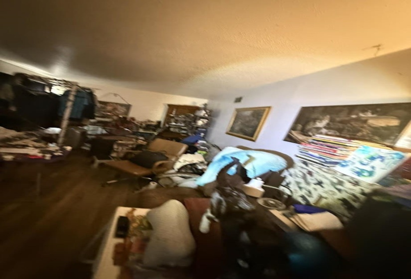 Image quality insufficient for description