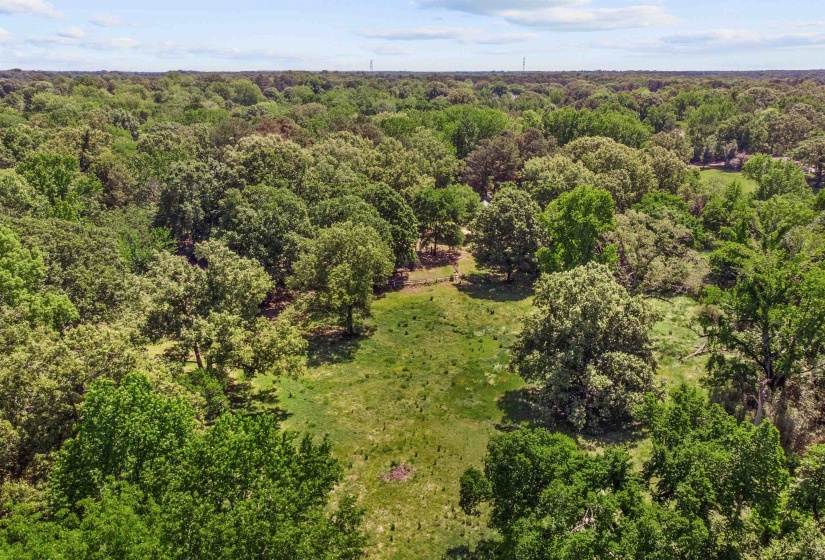 Expansive land parcel featuring a central grassy clearing surrounded by numerous mature trees