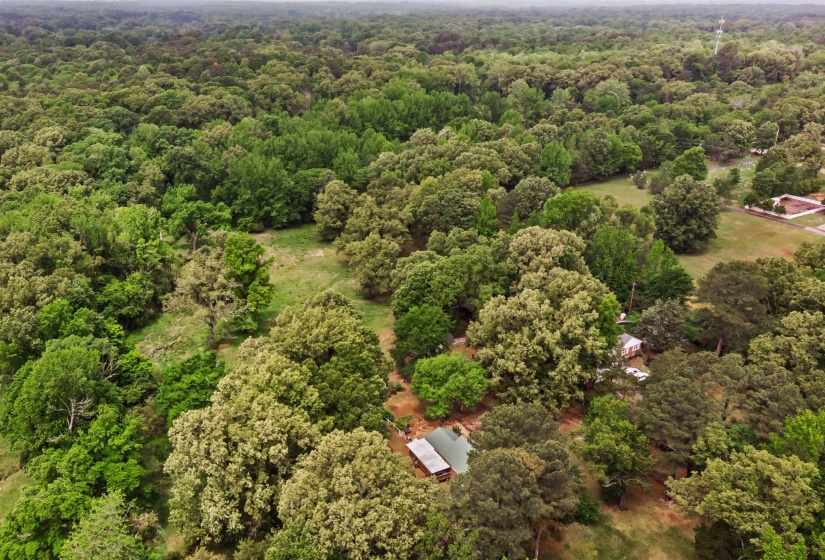 Expansive wooded property featuring mature trees and scattered clearings