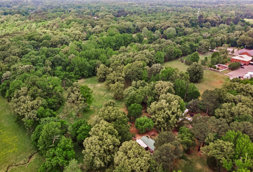 Expansive property featuring mature trees and open grassy areas