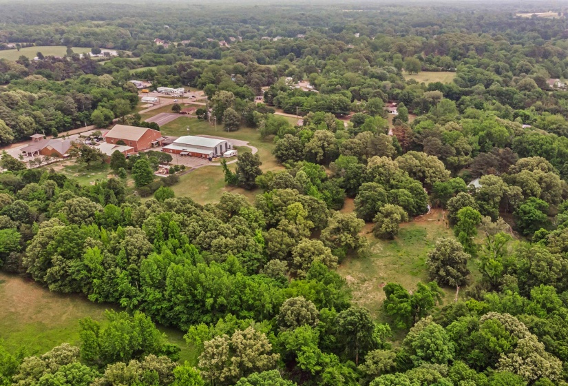 Expansive wooded acreage with a cleared building site