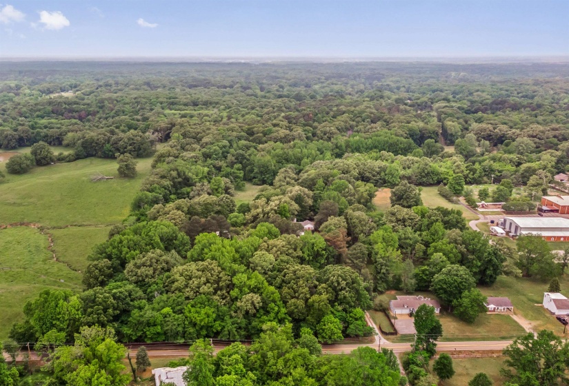 Expansive aerial perspective showcasing a vast wooded landscape