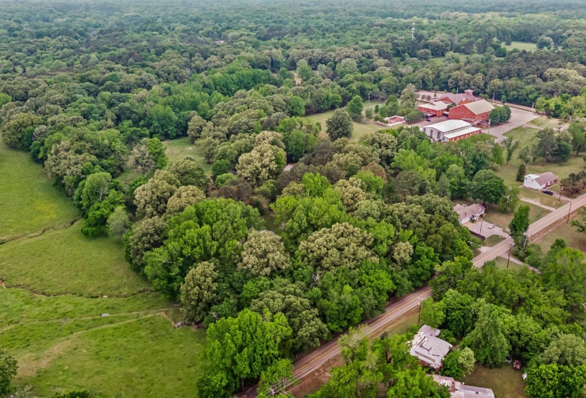 Aerial perspective showcasing extensive wooded acreage with varied tree canopy