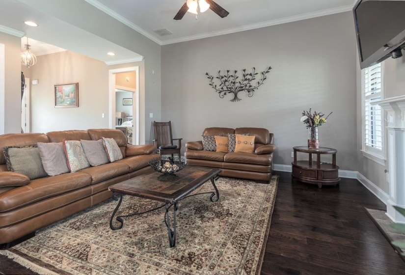 Spacious living area featuring dark wood-finish flooring, crown molding, and a ceiling fan