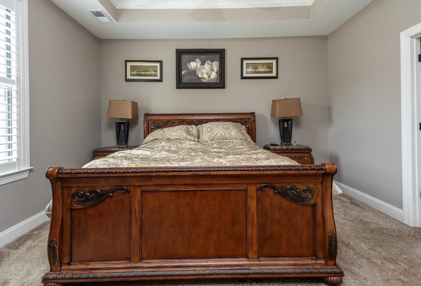 Carpeted room featuring a tray ceiling, plantation shutters, and a white trim package