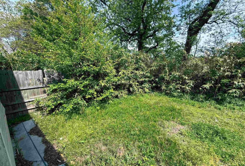 Expansive green space featuring a wooden privacy fence, mature trees, and natural landscaping