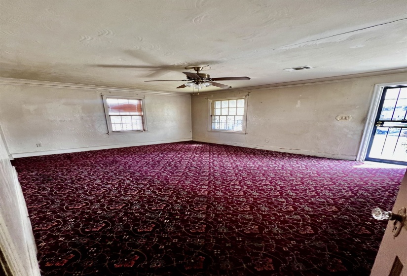 Spare room featuring plenty of natural light, a textured ceiling, ornamental molding, carpet, and ceiling fan