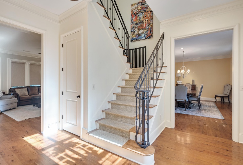 Foyer with wood-finish flooring, a carpeted staircase with an ornamental wrought iron railing, white trim, and a paneled door