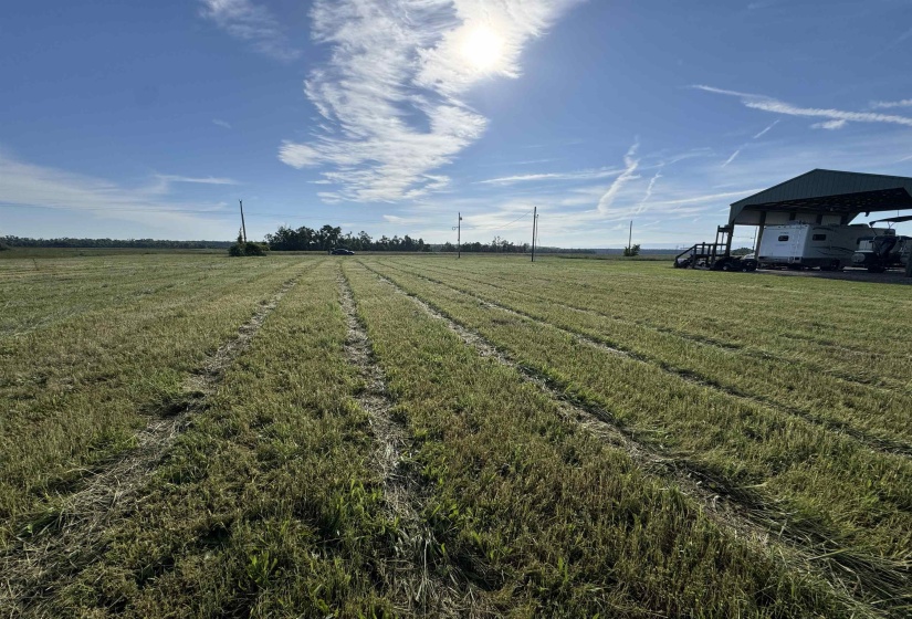 00 DECLAN LN, Savannah, Tennessee 38372, ,Land,For Sale,DECLAN,10221263