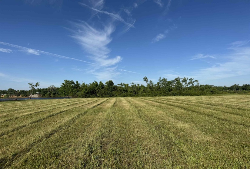 00 DECLAN LN, Savannah, Tennessee 38372, ,Land,For Sale,DECLAN,10221263