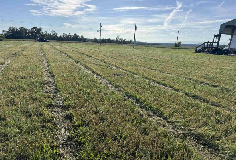 00 DECLAN LN, Savannah, Tennessee 38372, ,Land,For Sale,DECLAN,10221263