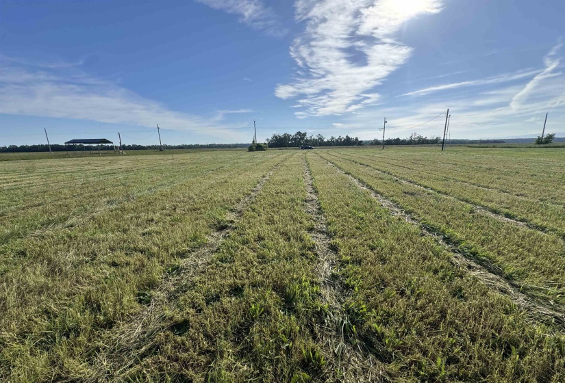 00 DECLAN LN, Savannah, Tennessee 38372, ,Land,For Sale,DECLAN,10221263