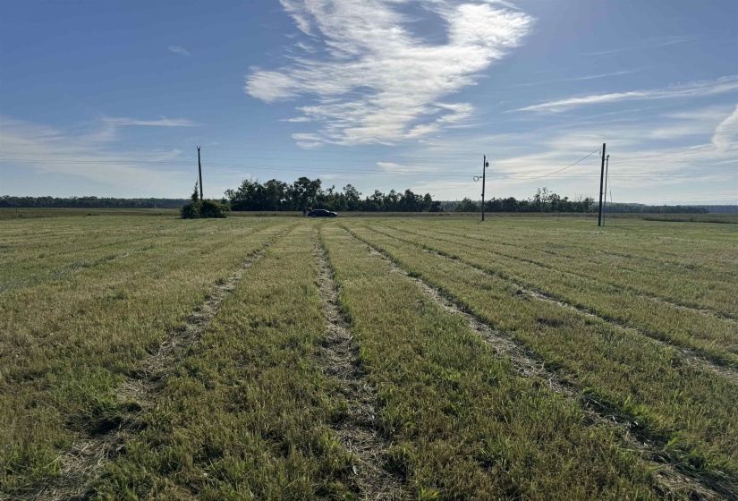 00 DECLAN LN, Savannah, Tennessee 38372, ,Land,For Sale,DECLAN,10221263