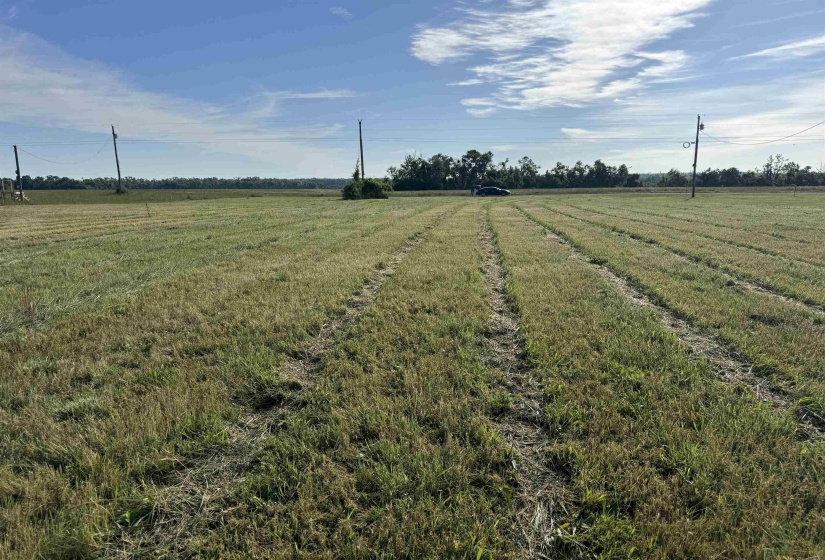 00 DECLAN LN, Savannah, Tennessee 38372, ,Land,For Sale,DECLAN,10221263