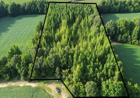 0 PENNICK RD, Ripley, Tennessee 38063, 0 , 0 ,0,Land,For Sale,PENNICK,0,10221271 0 PENNICK RD, Ripley, Tennessee 38063, 0 , 0 ,0,Land,For Sale,PENNICK,0,10221271