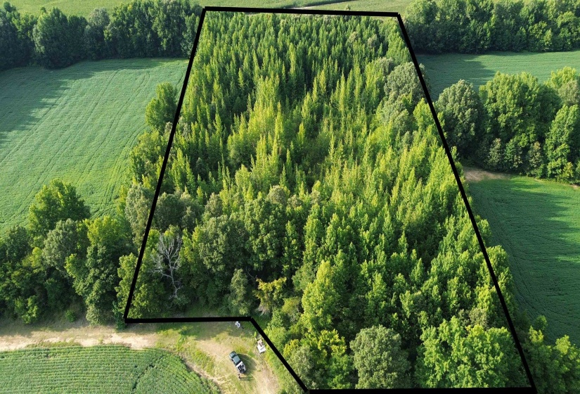 0 PENNICK RD, Ripley, Tennessee 38063, 0 , 0 ,0,Land,For Sale,PENNICK,0,10221271