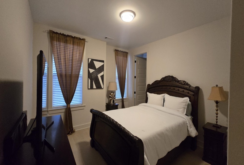 Carpeted room featuring two windows with blinds and curtains, a ceiling-mounted light fixture, and a paneled door
