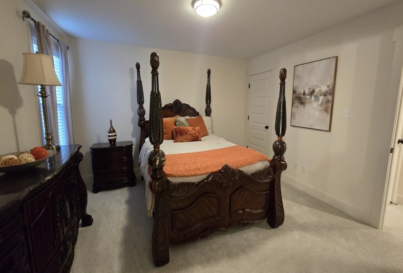Carpeted room featuring a ceiling-mounted light fixture, white interior walls, and a window with blinds and drapes