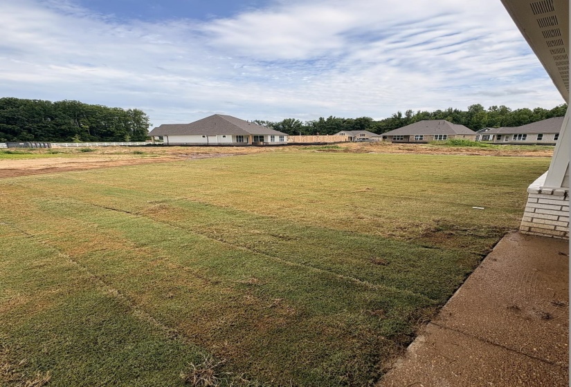Expansive backyard with newly laid sod, providing a fresh green lawn
