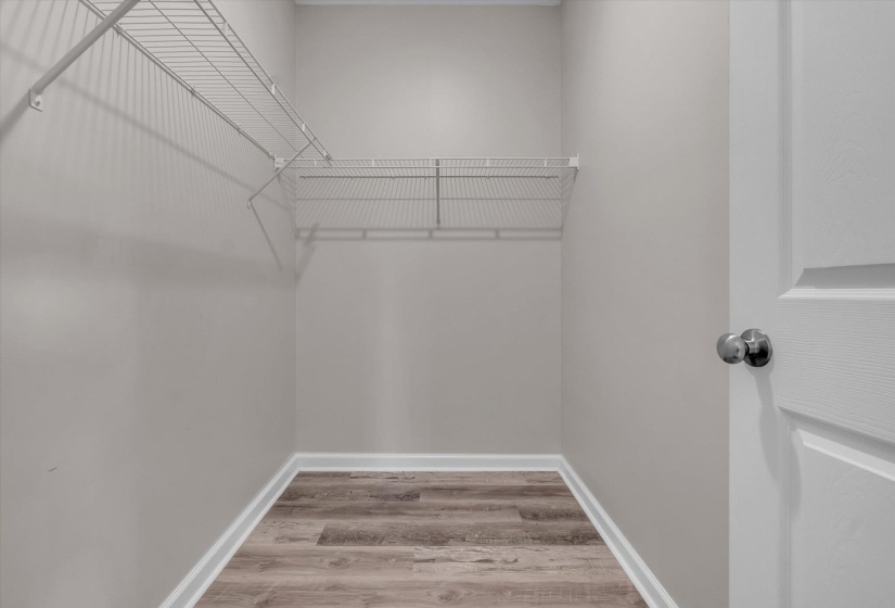 Spacious closet featuring durable wire shelving, a hanging rod, wood-finish flooring, and light gray wall paint