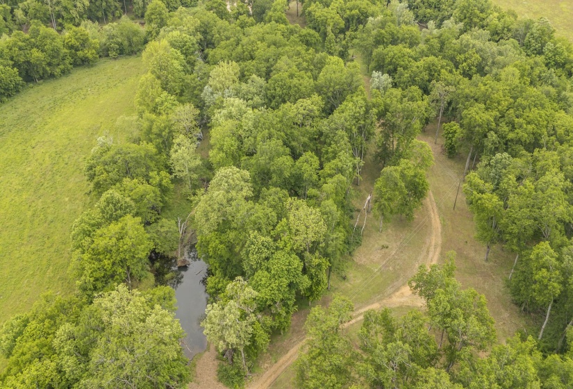 BUFFALO RIVER RD, Waynesboro, Tennessee 38485, ,Land,For Sale,BUFFALO RIVER,10221310