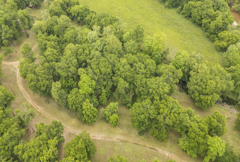 BUFFALO RIVER RD, Waynesboro, Tennessee 38485, ,Land,For Sale,BUFFALO RIVER,10221310