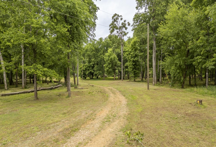 BUFFALO RIVER RD, Waynesboro, Tennessee 38485, ,Land,For Sale,BUFFALO RIVER,10221310