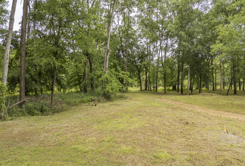 BUFFALO RIVER RD, Waynesboro, Tennessee 38485, ,Land,For Sale,BUFFALO RIVER,10221310