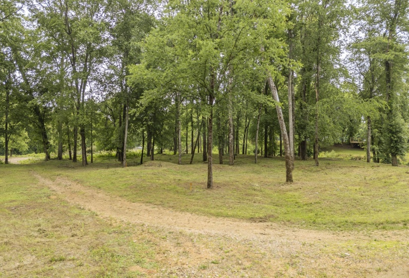 BUFFALO RIVER RD, Waynesboro, Tennessee 38485, ,Land,For Sale,BUFFALO RIVER,10221310