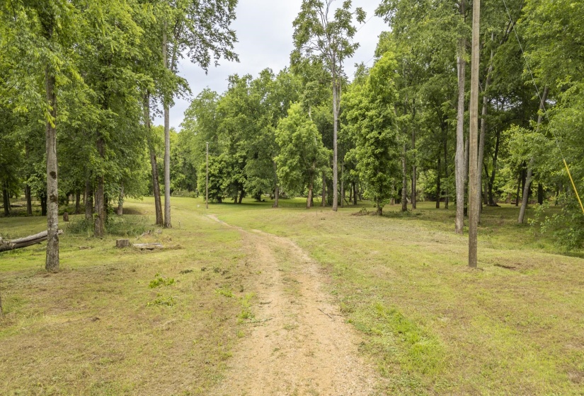 BUFFALO RIVER RD, Waynesboro, Tennessee 38485, ,Land,For Sale,BUFFALO RIVER,10221310
