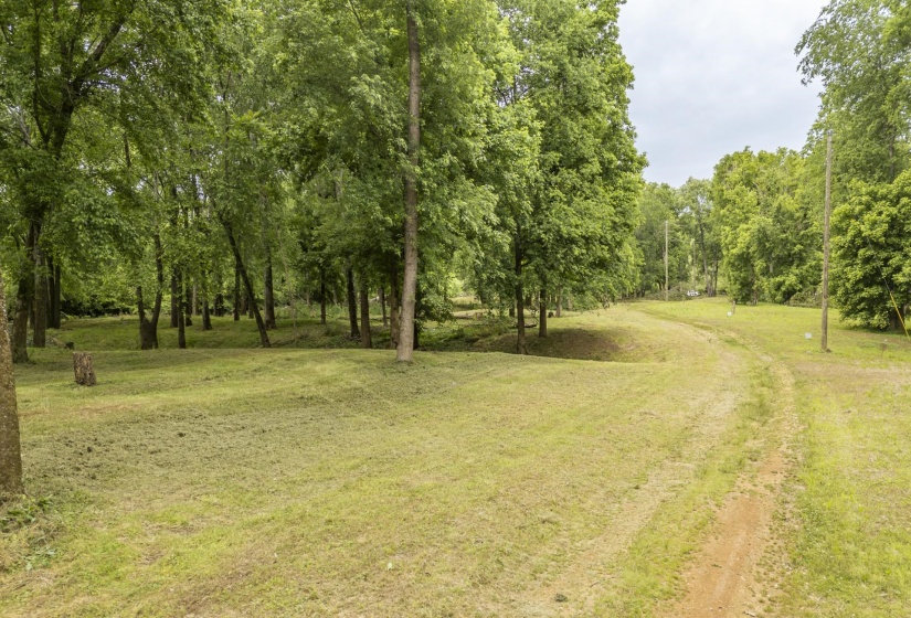 BUFFALO RIVER RD, Waynesboro, Tennessee 38485, ,Land,For Sale,BUFFALO RIVER,10221310