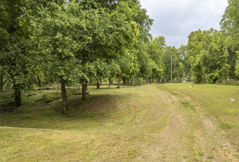 BUFFALO RIVER RD, Waynesboro, Tennessee 38485, ,Land,For Sale,BUFFALO RIVER,10221310