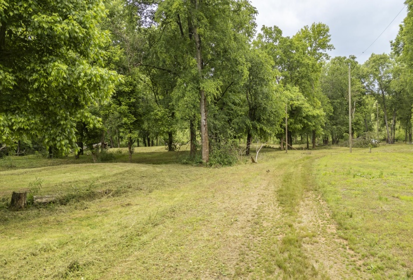 BUFFALO RIVER RD, Waynesboro, Tennessee 38485, ,Land,For Sale,BUFFALO RIVER,10221310