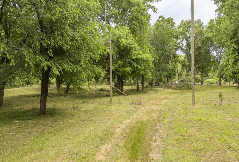 BUFFALO RIVER RD, Waynesboro, Tennessee 38485, ,Land,For Sale,BUFFALO RIVER,10221310