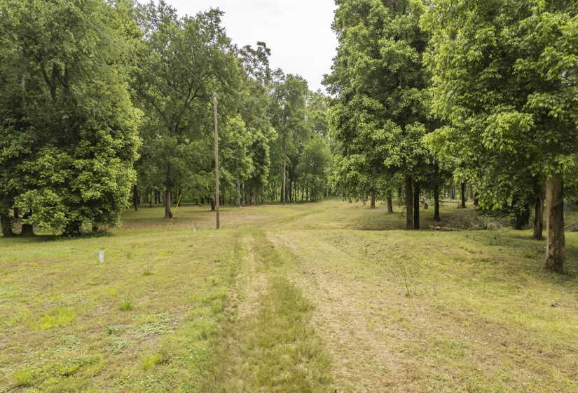 BUFFALO RIVER RD, Waynesboro, Tennessee 38485, ,Land,For Sale,BUFFALO RIVER,10221310