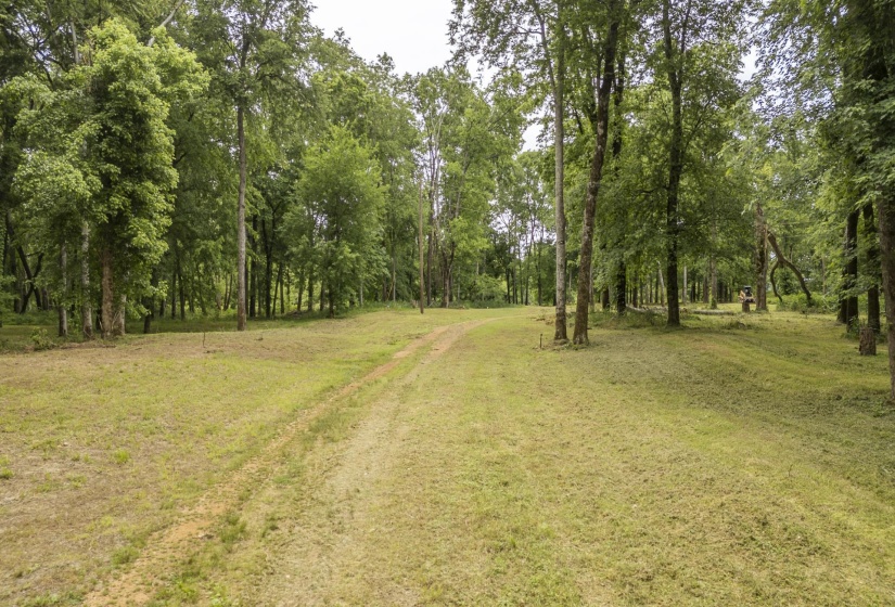 BUFFALO RIVER RD, Waynesboro, Tennessee 38485, ,Land,For Sale,BUFFALO RIVER,10221310