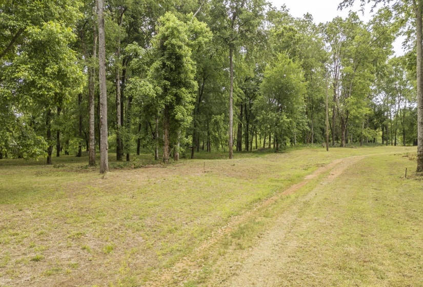 BUFFALO RIVER RD, Waynesboro, Tennessee 38485, ,Land,For Sale,BUFFALO RIVER,10221310