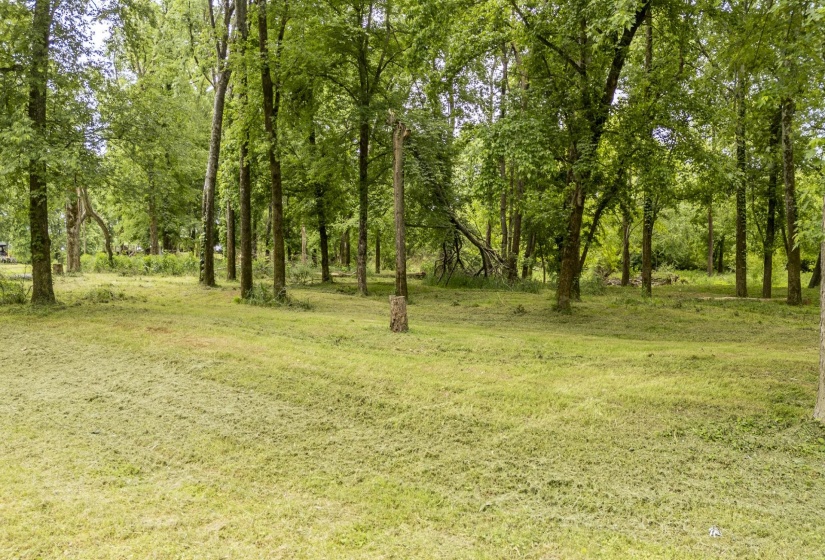 BUFFALO RIVER RD, Waynesboro, Tennessee 38485, ,Land,For Sale,BUFFALO RIVER,10221310