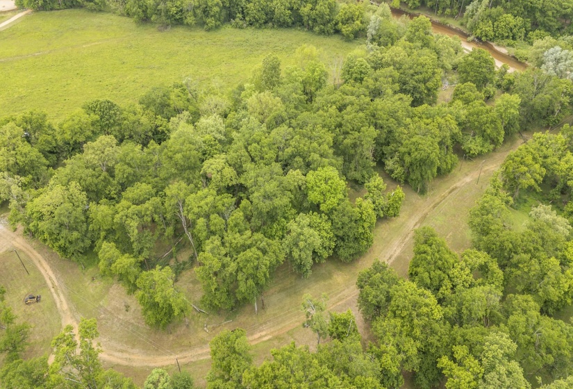 BUFFALO RIVER RD, Waynesboro, Tennessee 38485, ,Land,For Sale,BUFFALO RIVER,10221310