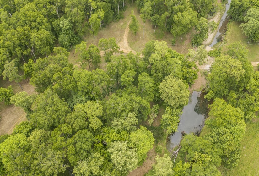 BUFFALO RIVER RD, Waynesboro, Tennessee 38485, ,Land,For Sale,BUFFALO RIVER,10221310