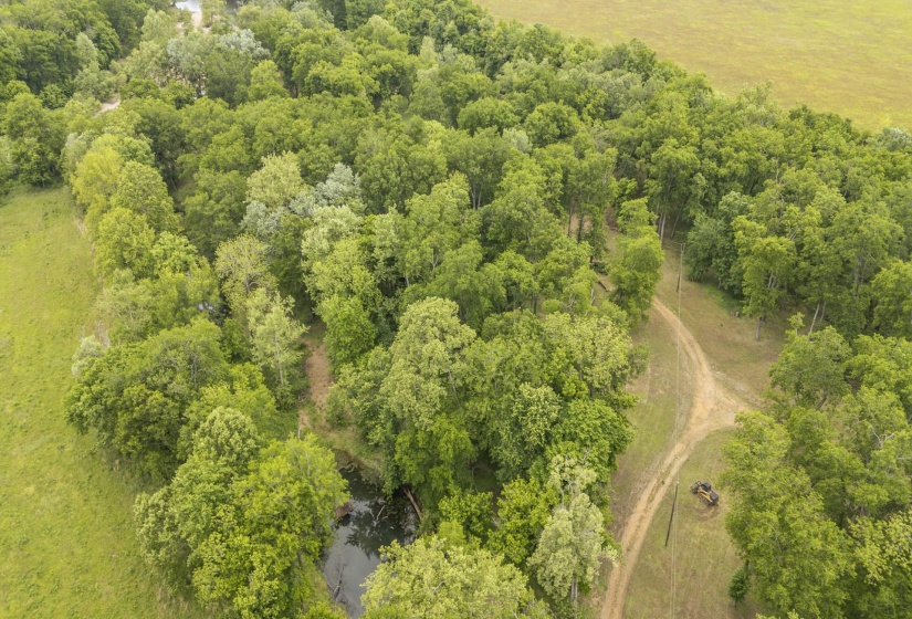 BUFFALO RIVER RD, Waynesboro, Tennessee 38485, ,Land,For Sale,BUFFALO RIVER,10221310