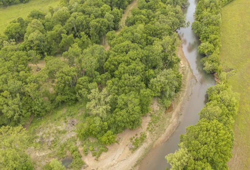 BUFFALO RIVER RD, Waynesboro, Tennessee 38485, ,Land,For Sale,BUFFALO RIVER,10221310